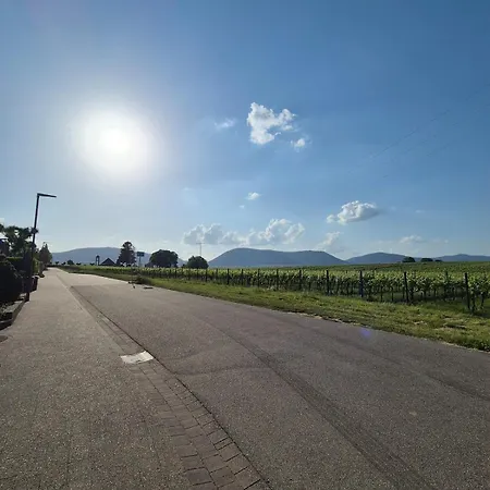 Appartamento Rebenmeer In Roschbach