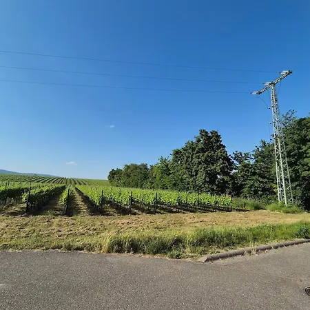 Rebenmeer In Roschbach